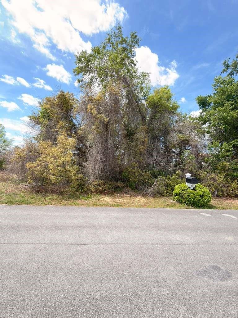 SW 21 CT, OCALA, FL, 34473