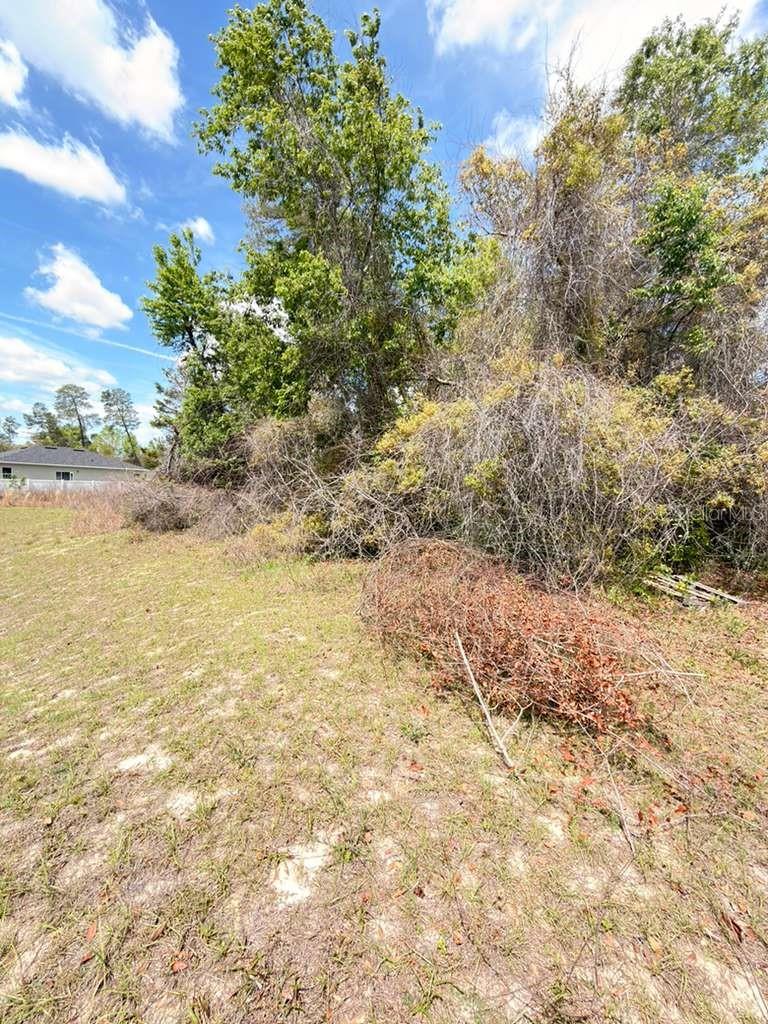 SW 21 CT, OCALA, FL, 34473