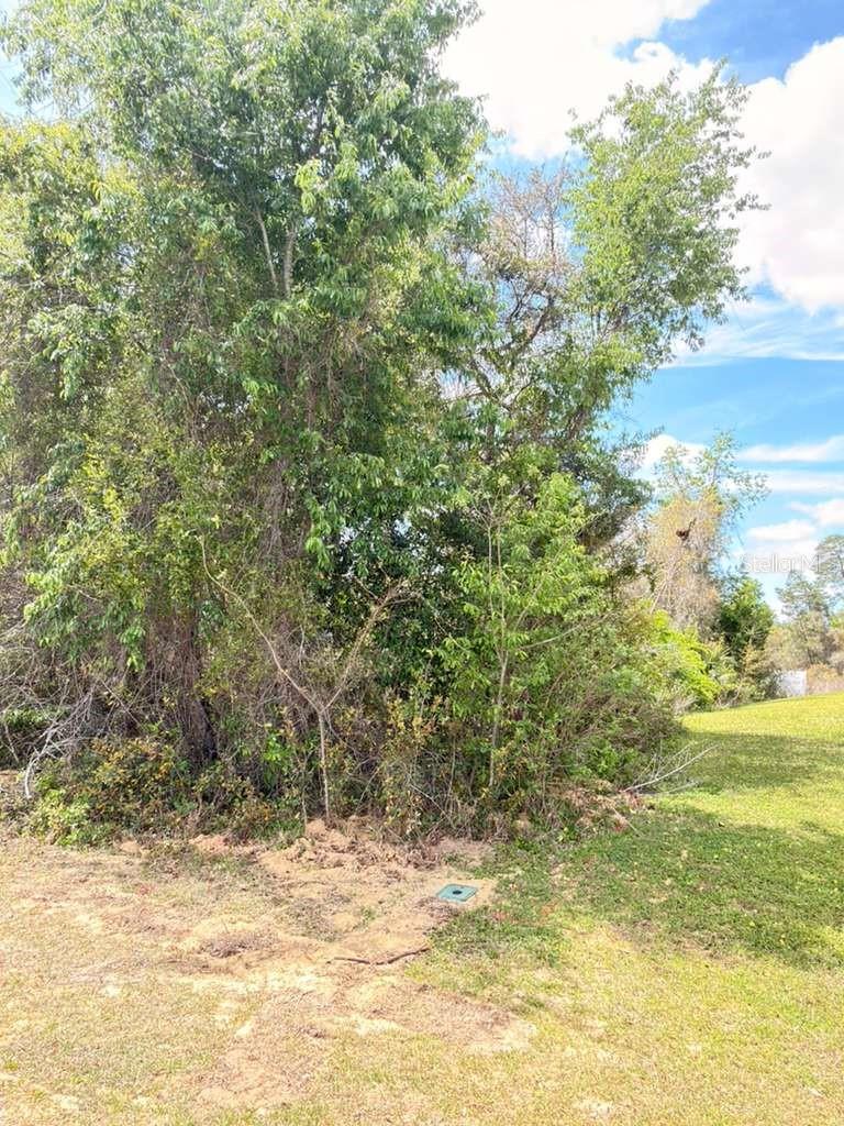 SW 21 CT, OCALA, FL, 34473