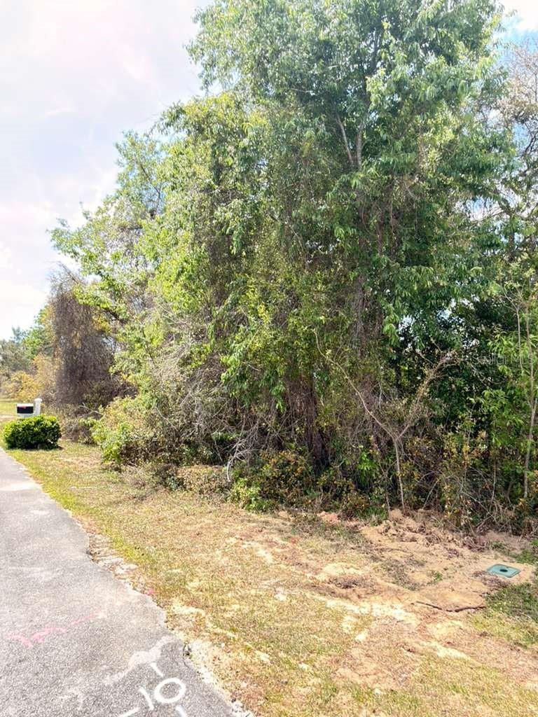 SW 21 CT, OCALA, FL, 34473