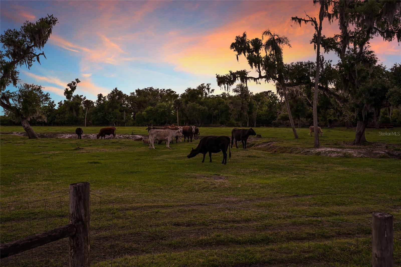 30854 SINGLETARY RD, MYAKKA CITY, FL, 34251