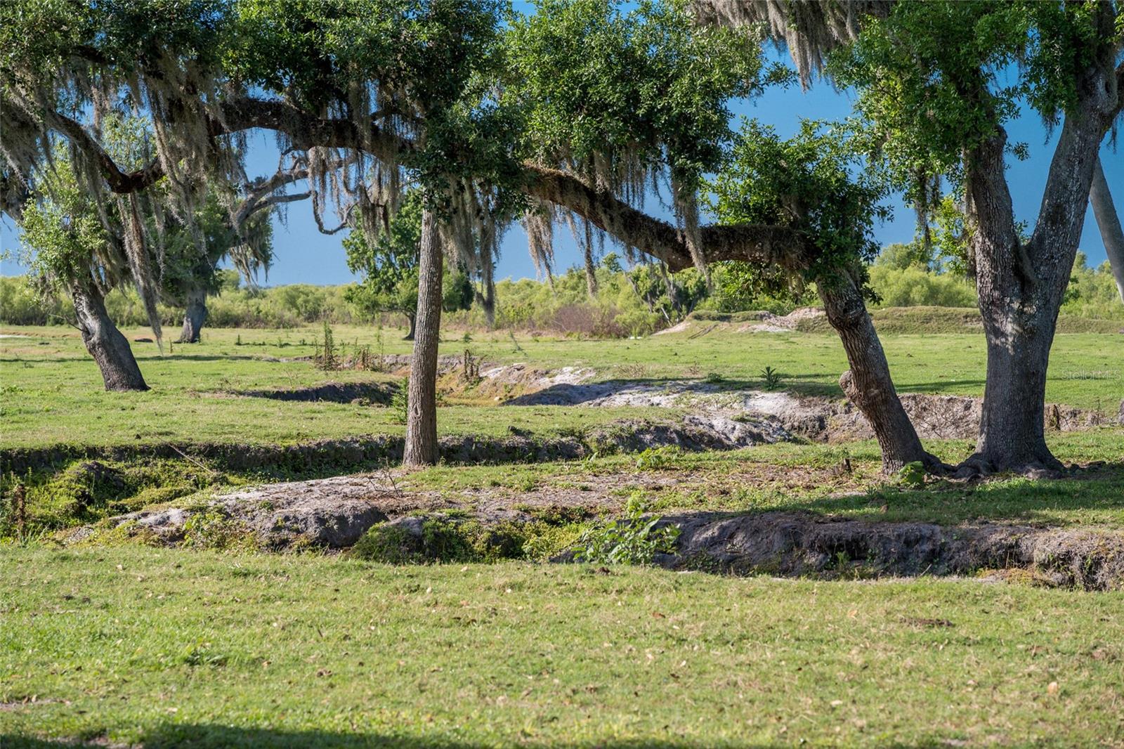 30854 SINGLETARY RD, MYAKKA CITY, FL, 34251