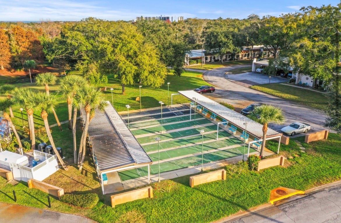 Shuffleboard Courts