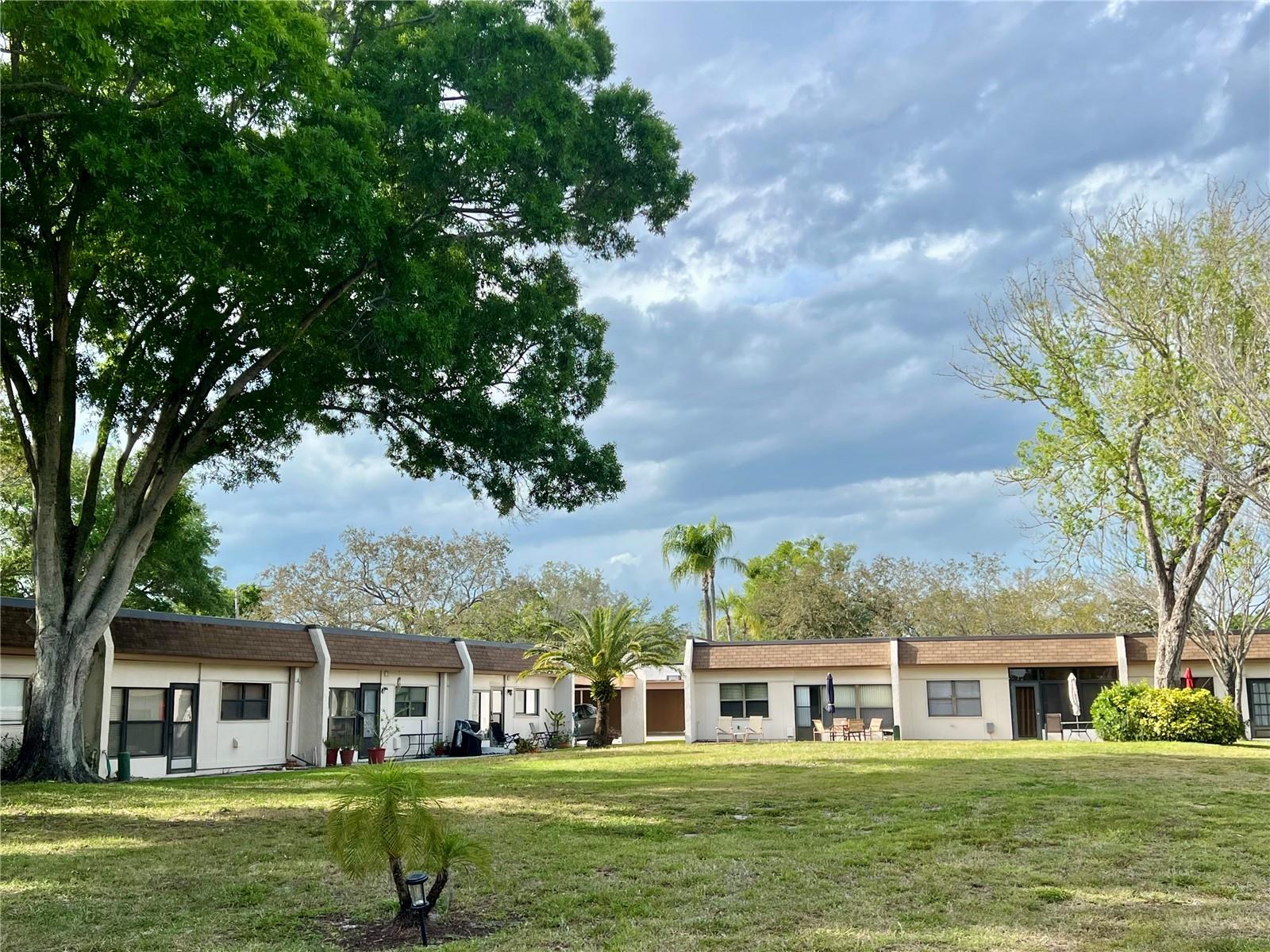 Courtyard/Backyard View