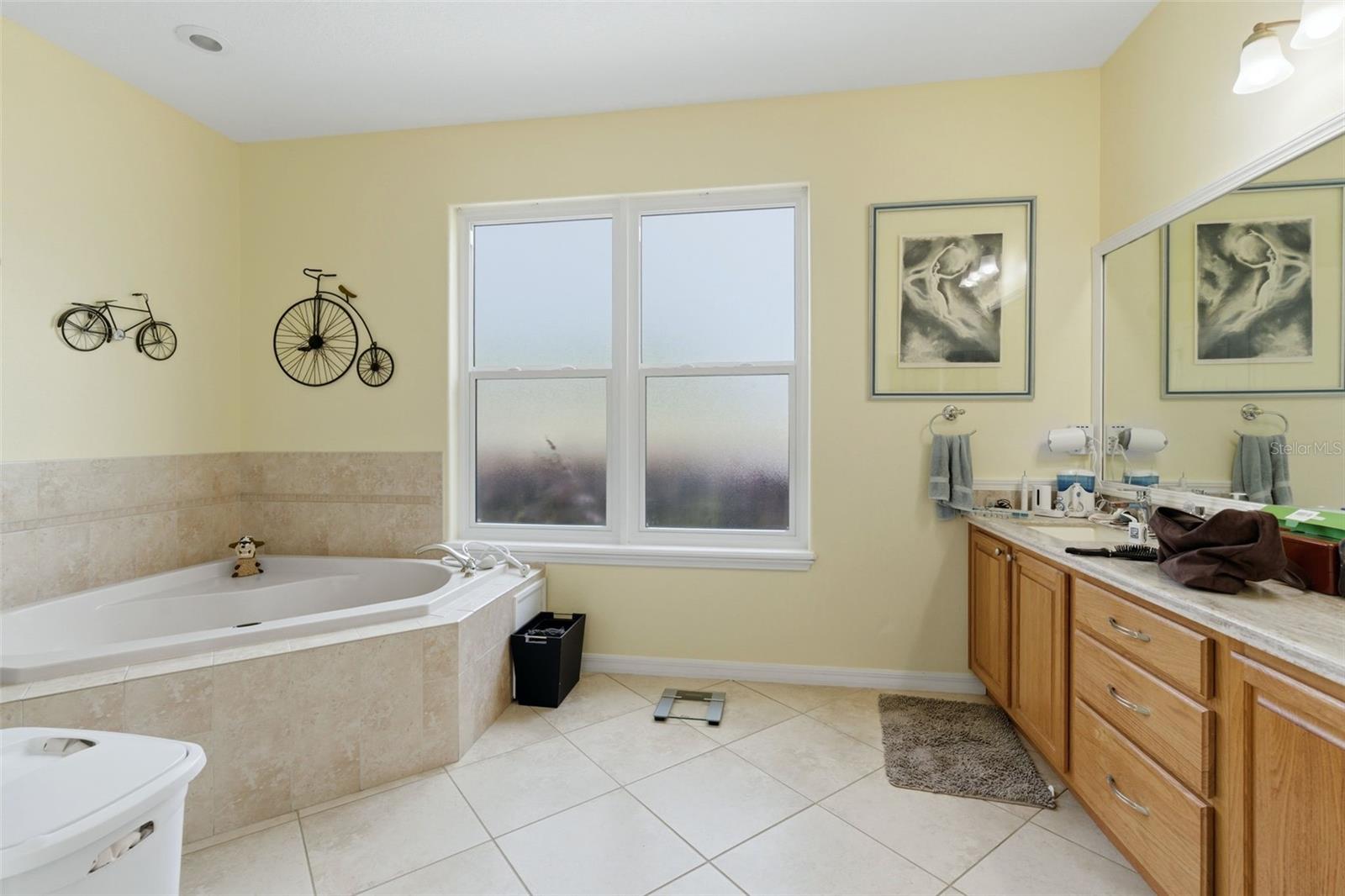 3510 HUNTERS TRAIL CIR, EUSTIS, FL, 32726