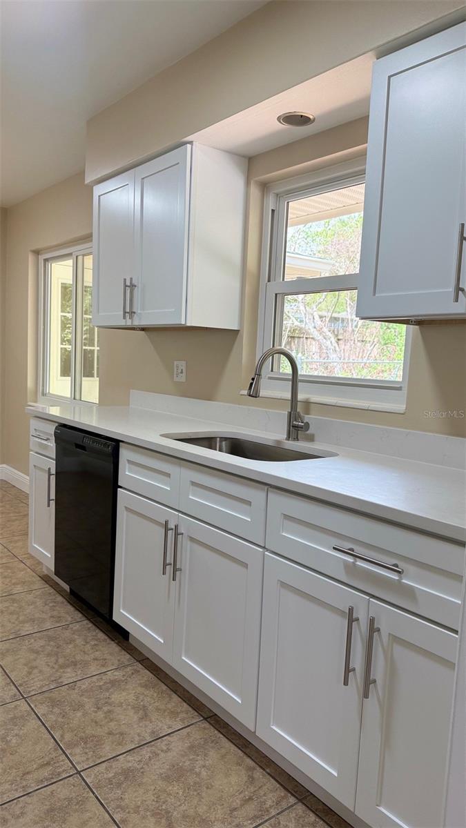1603 LAKE NETTIE CT, EUSTIS, FL, 32726