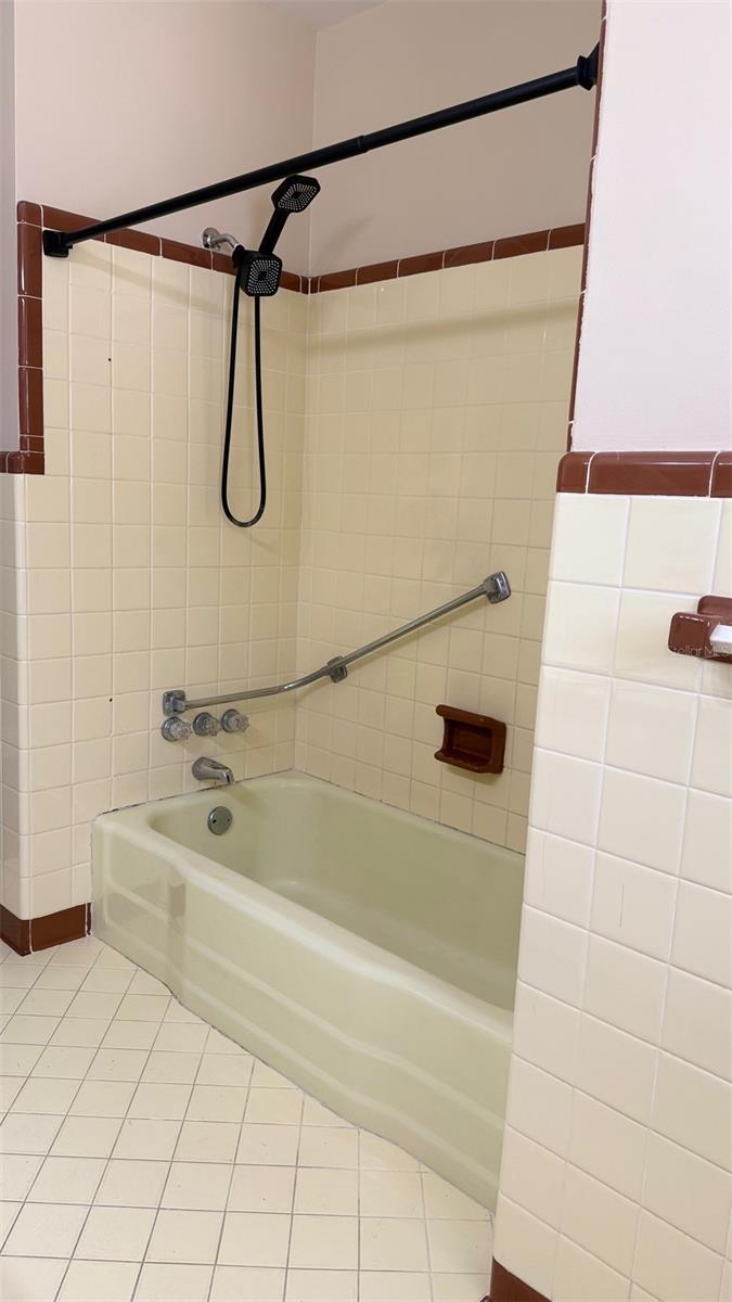 1603 LAKE NETTIE CT, EUSTIS, FL, 32726