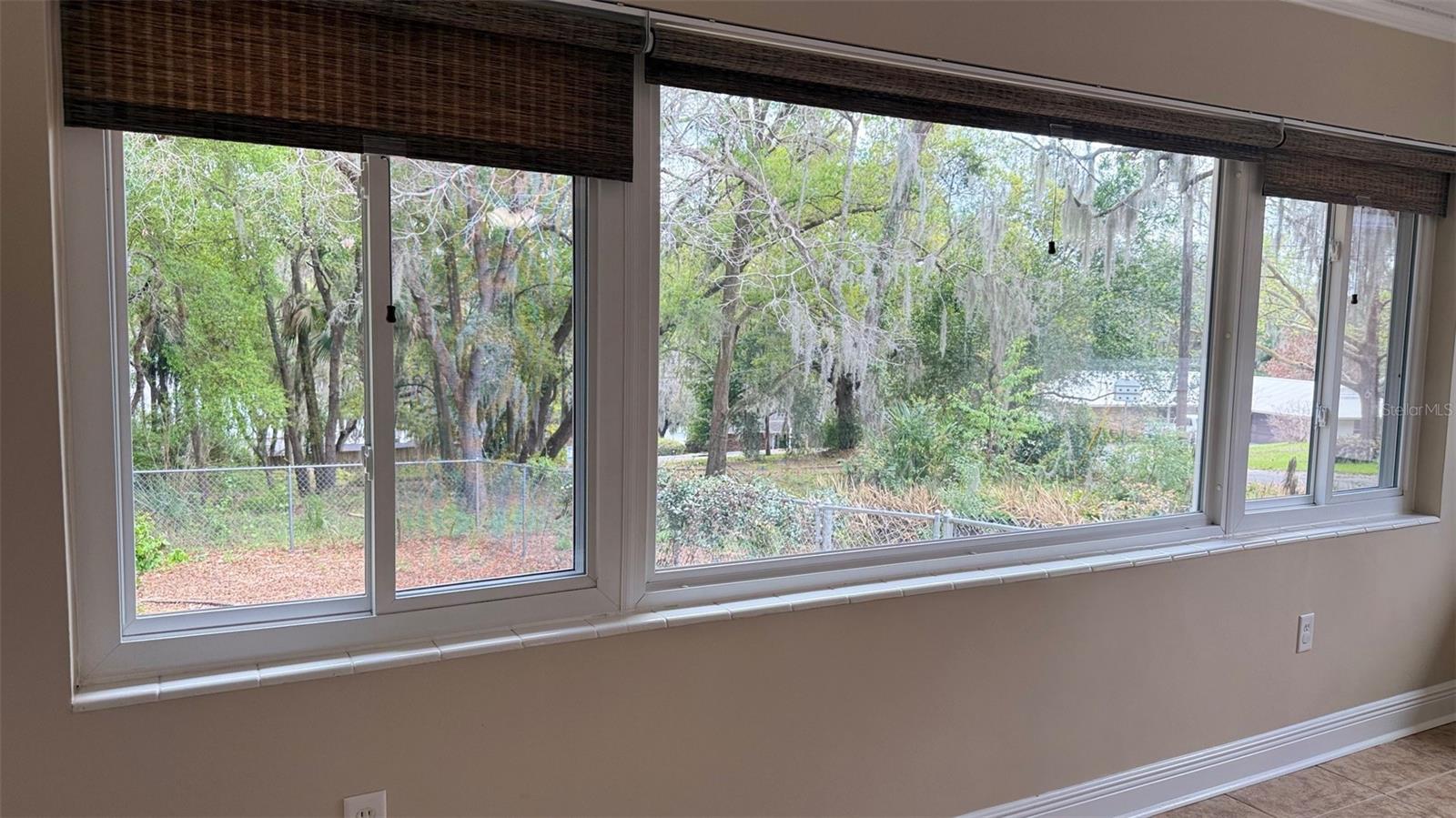 1603 LAKE NETTIE CT, EUSTIS, FL, 32726