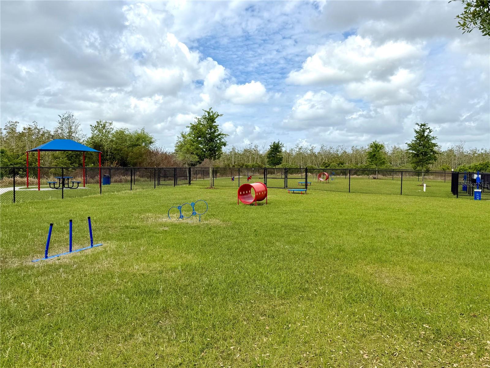 4209 DELEON ST, HAINES CITY, FL, 33844