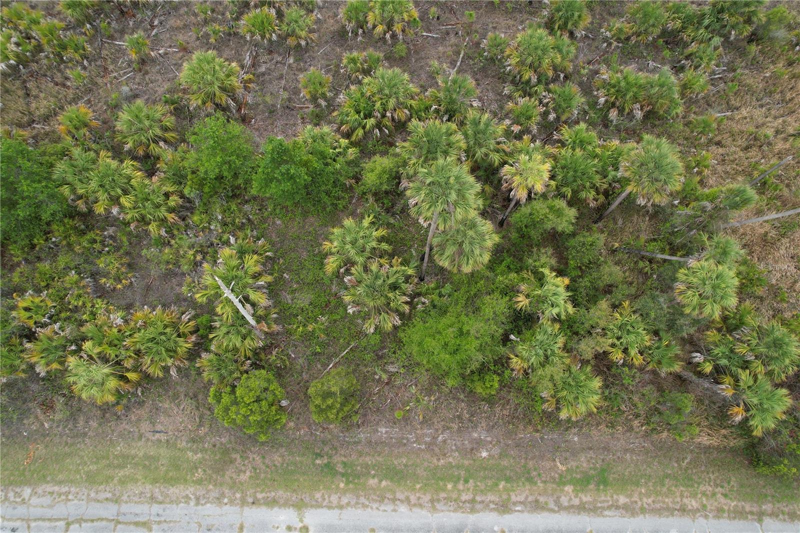 CANDLELIGHT RD, NORTH PORT, FL, 34288