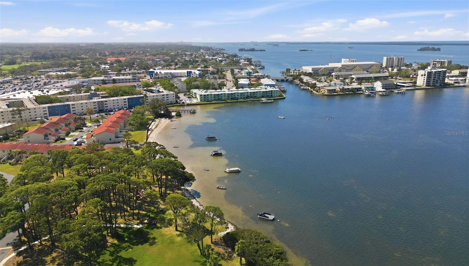 2700 BAYSHORE BLVD #1307, DUNEDIN, FL, 34698
