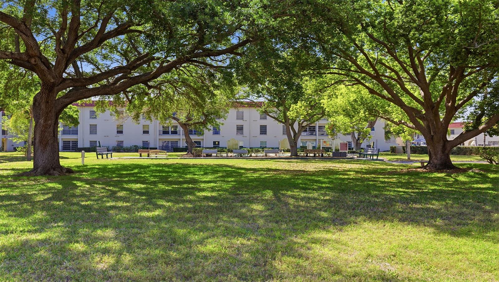 2700 BAYSHORE BLVD #1307, DUNEDIN, FL, 34698