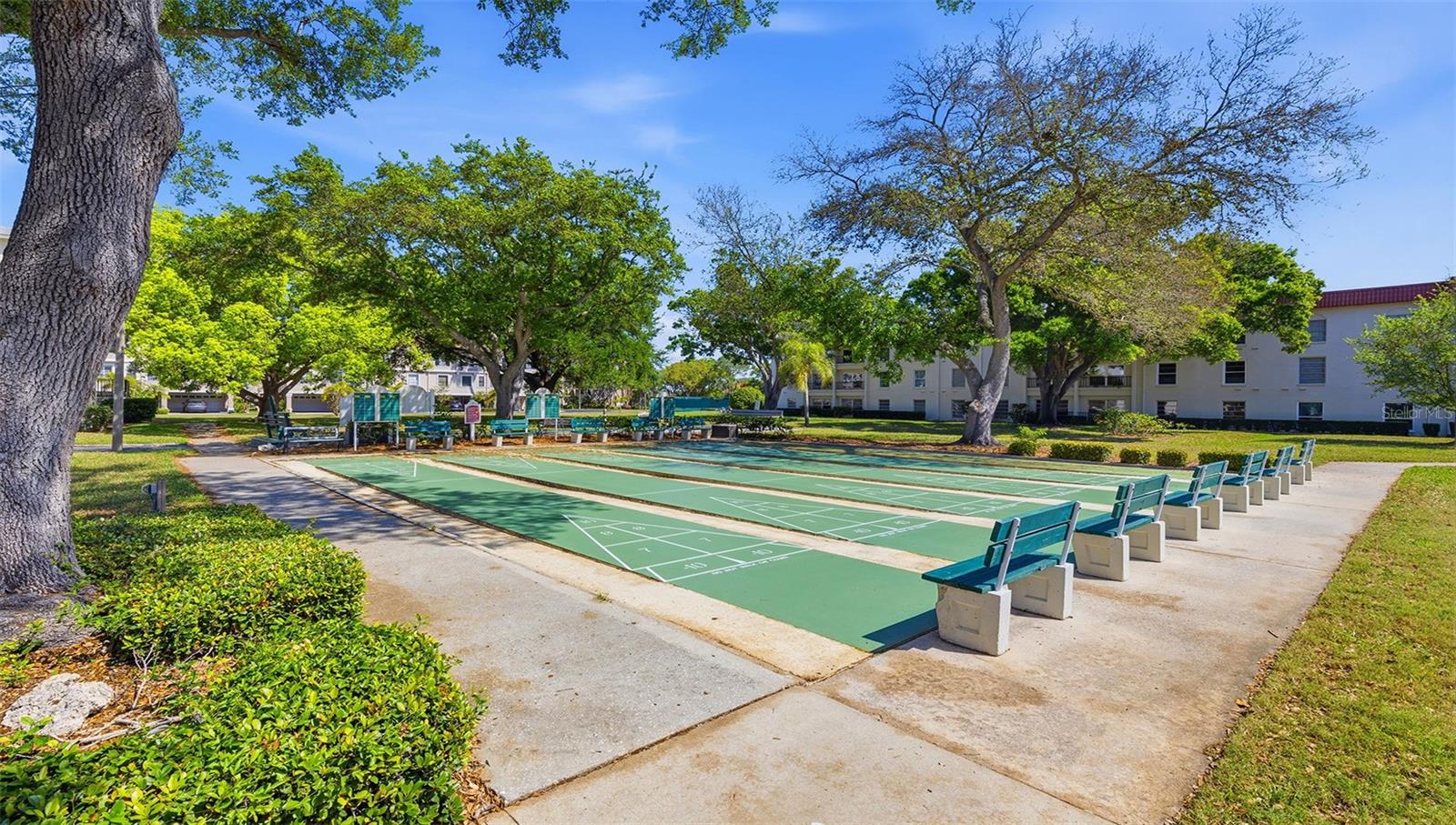 2700 BAYSHORE BLVD #1307, DUNEDIN, FL, 34698