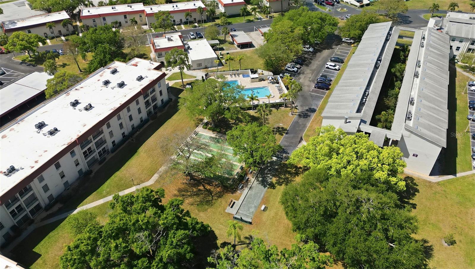 2700 BAYSHORE BLVD #1307, DUNEDIN, FL, 34698