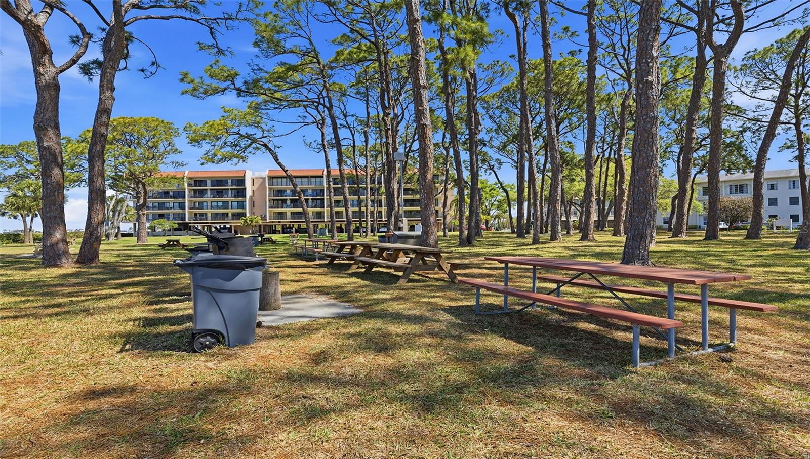 2700 BAYSHORE BLVD #1307, DUNEDIN, FL, 34698