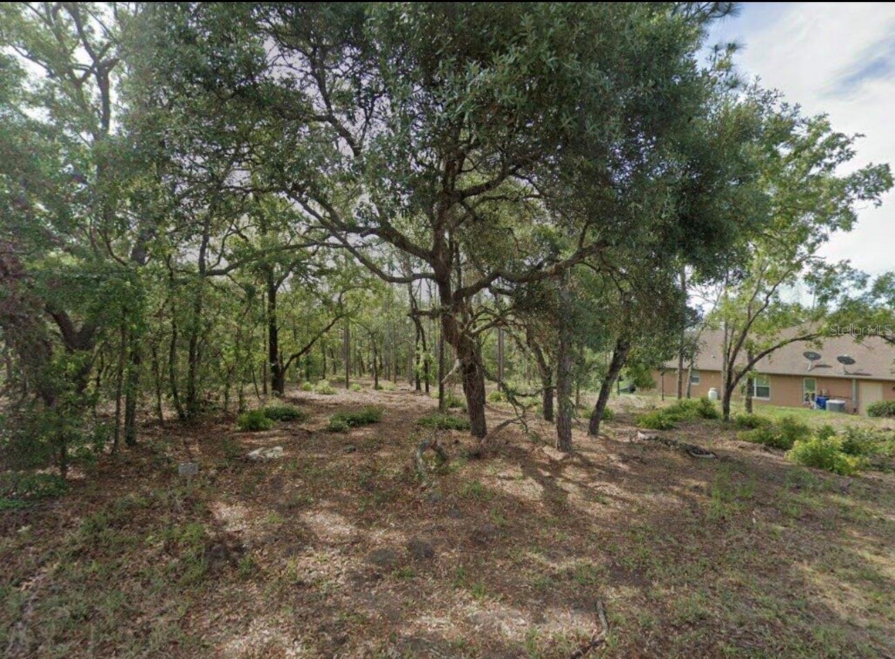 17 CHERRYPALM CT, HOMOSASSA, FL, 34446