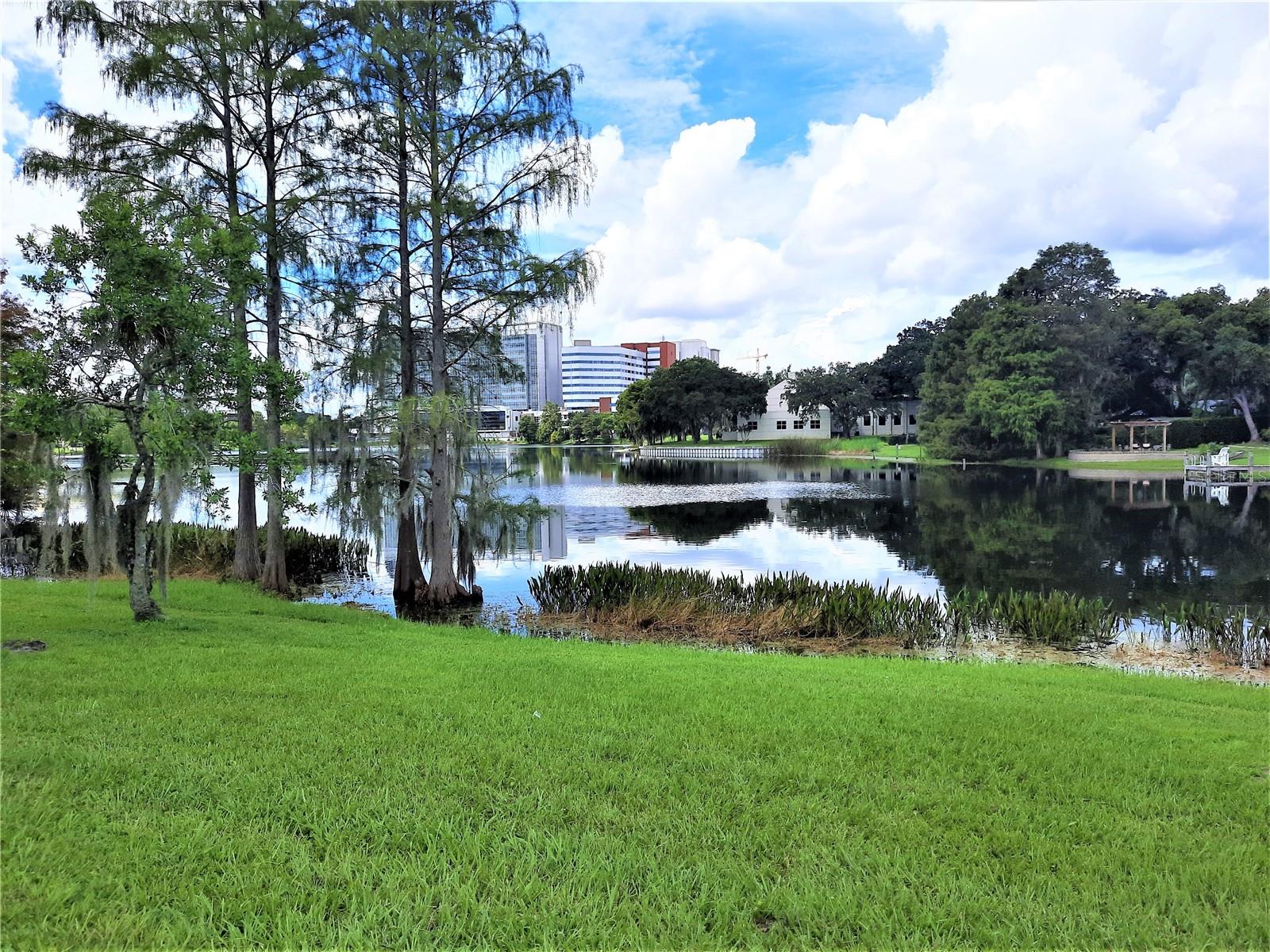 2900 N MILLS AVE, ORLANDO, FL, 32803