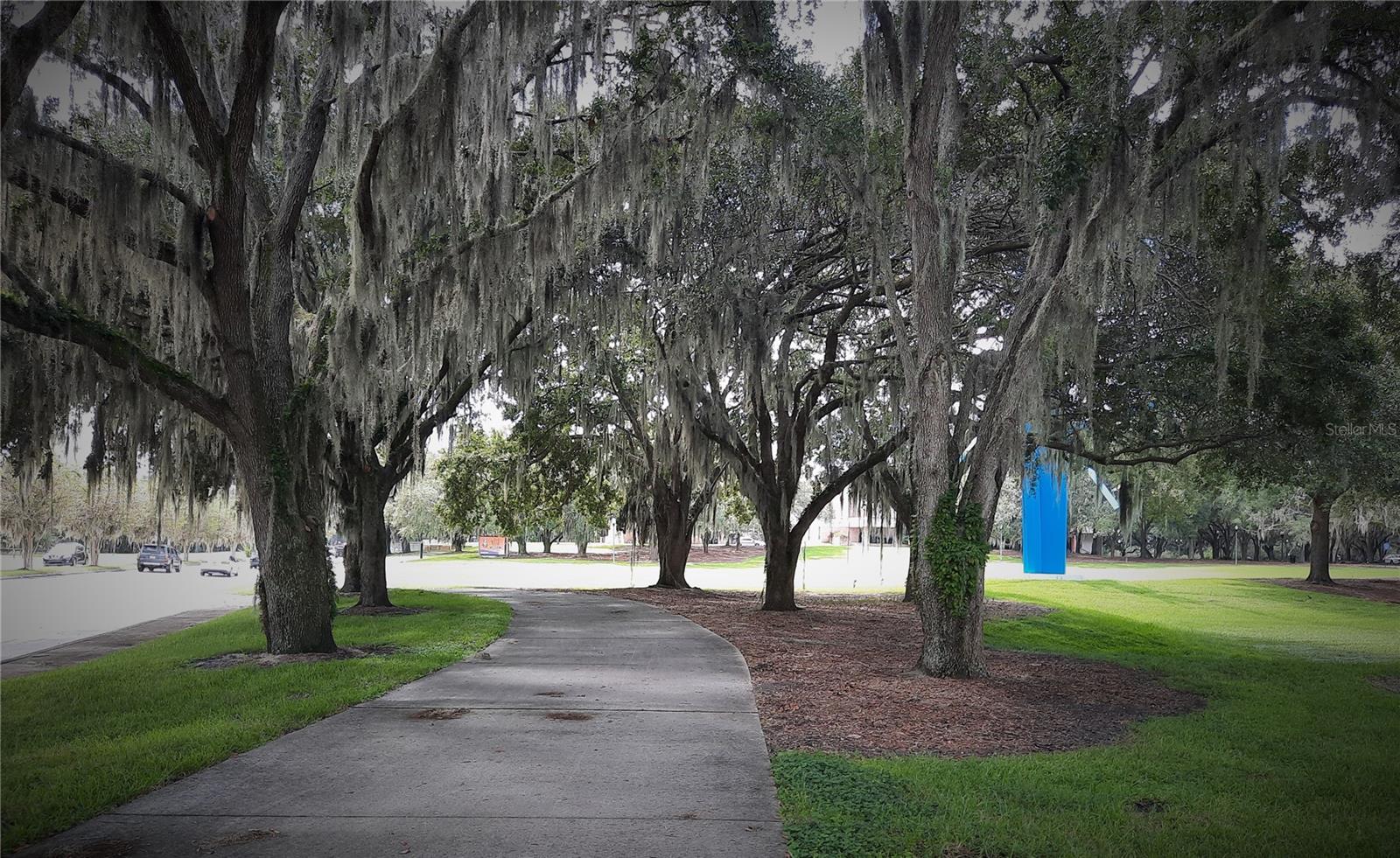 2900 N MILLS AVE, ORLANDO, FL, 32803