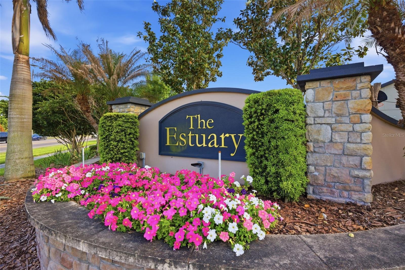 11623 PALMETTO PINE ST, RIVERVIEW, FL, 33569