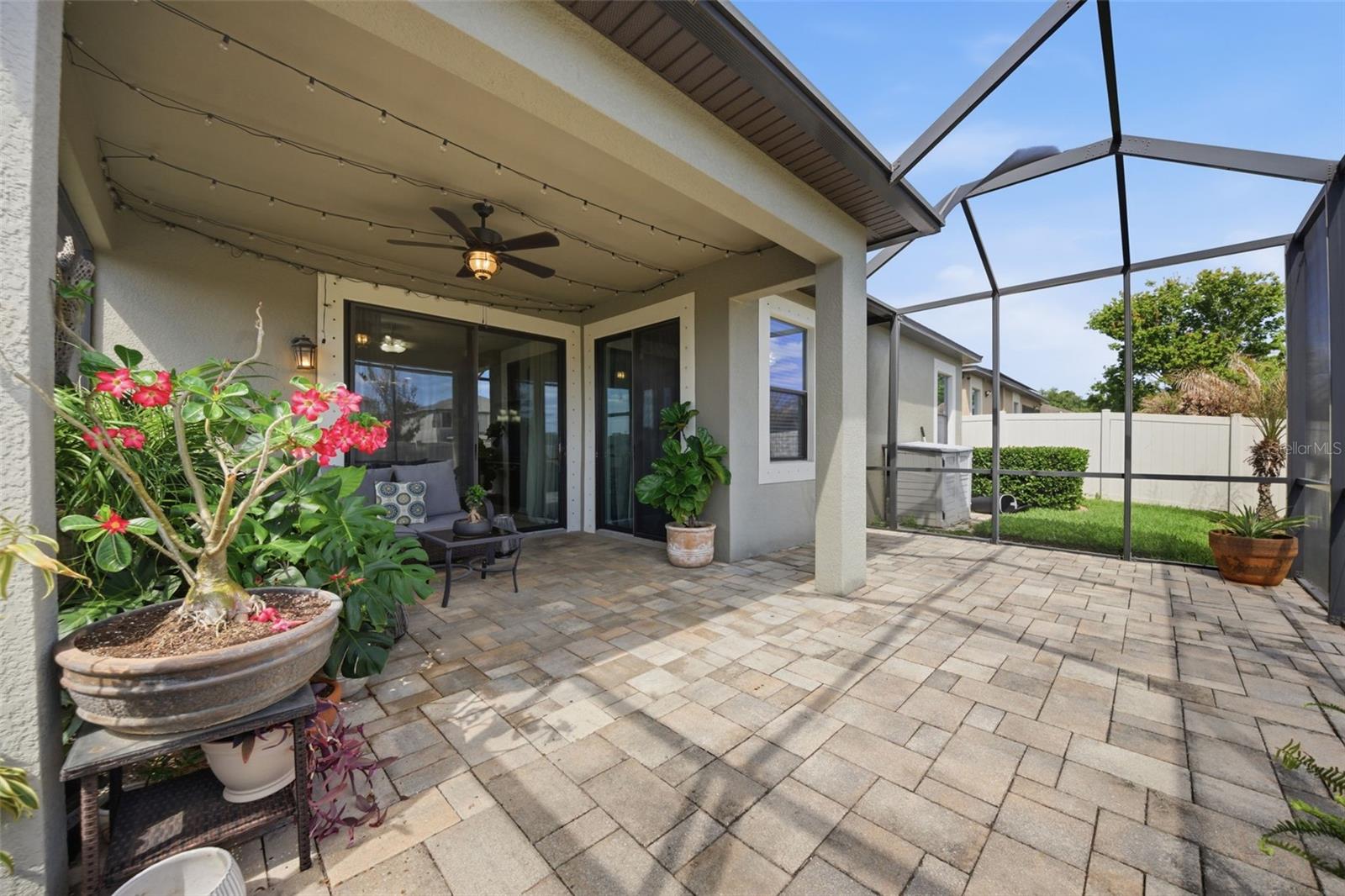 11623 PALMETTO PINE ST, RIVERVIEW, FL, 33569