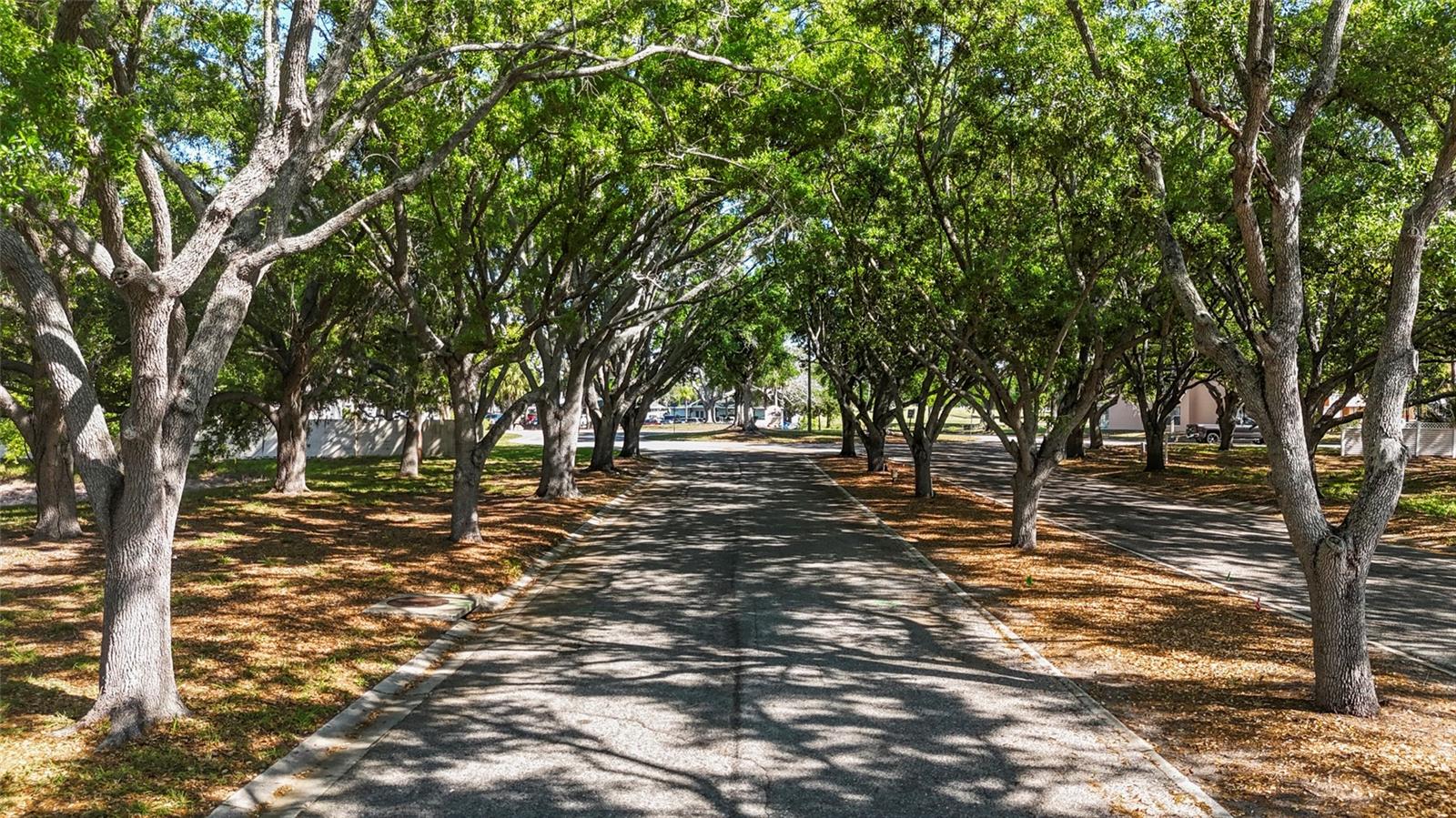 4210 IRONWOOD CIR #308J, BRADENTON, FL, 34209