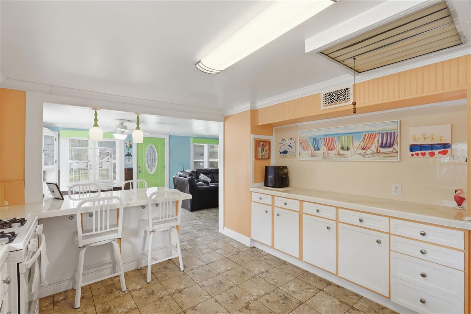 460 ALHAMBRA AVE, DE LEON SPRINGS, FL, 32130