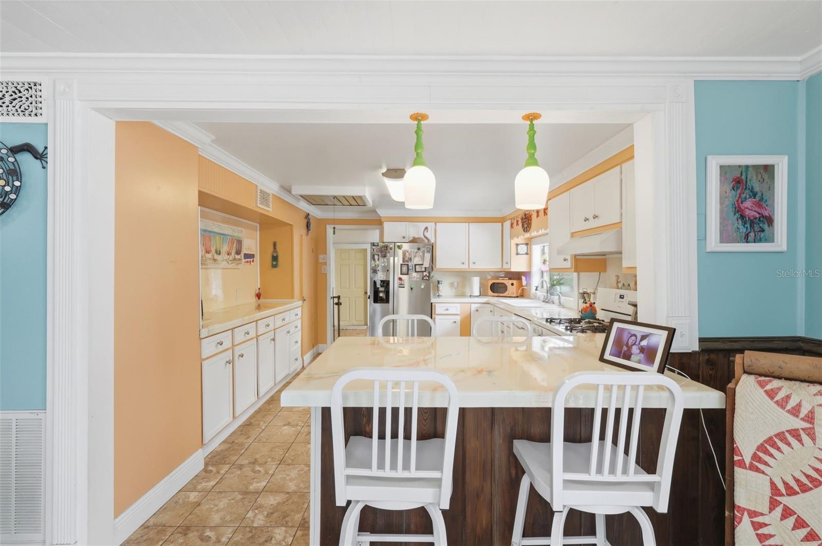 460 ALHAMBRA AVE, DE LEON SPRINGS, FL, 32130