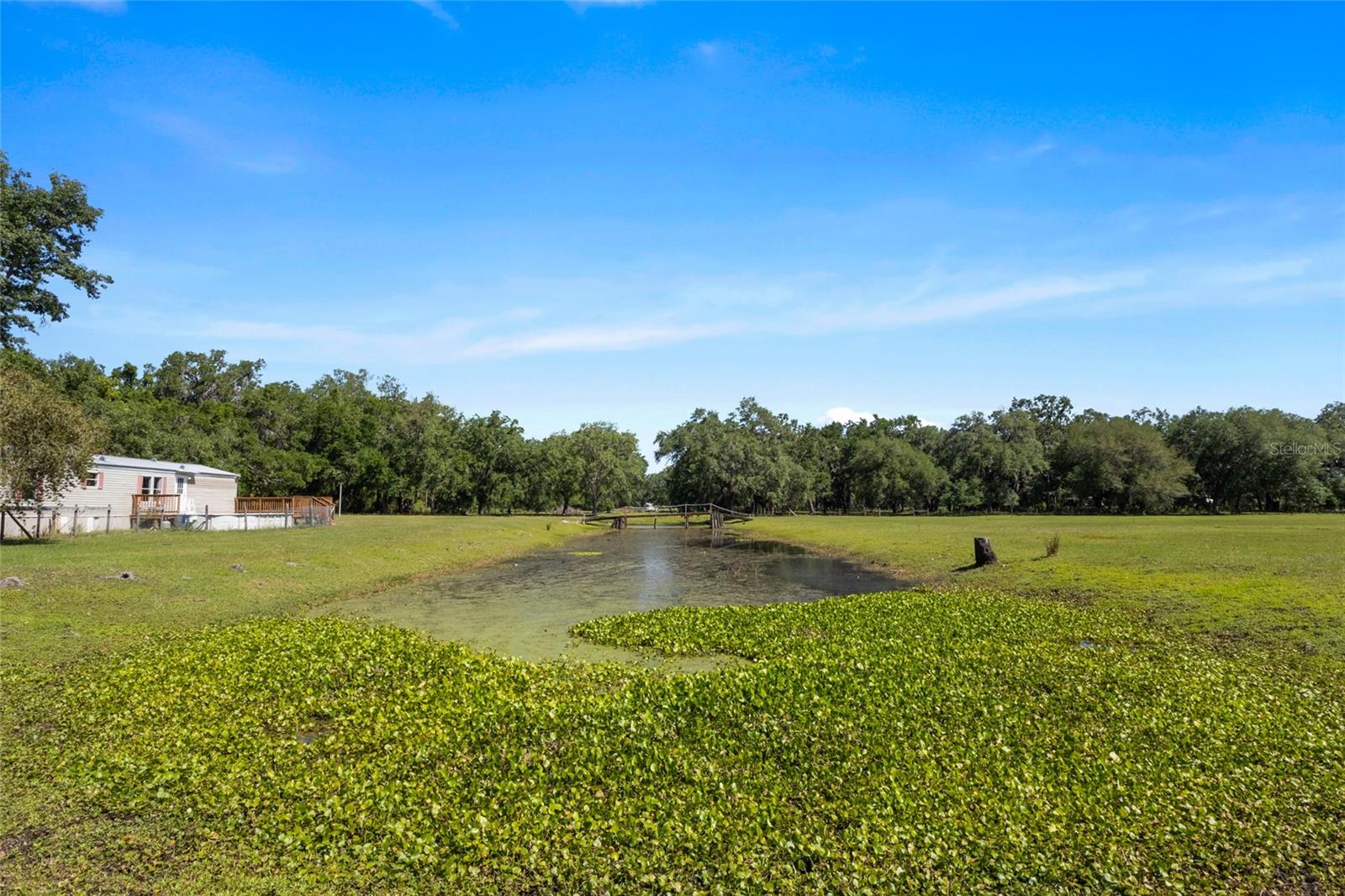 11902 CR 727, WEBSTER, FL, 33597