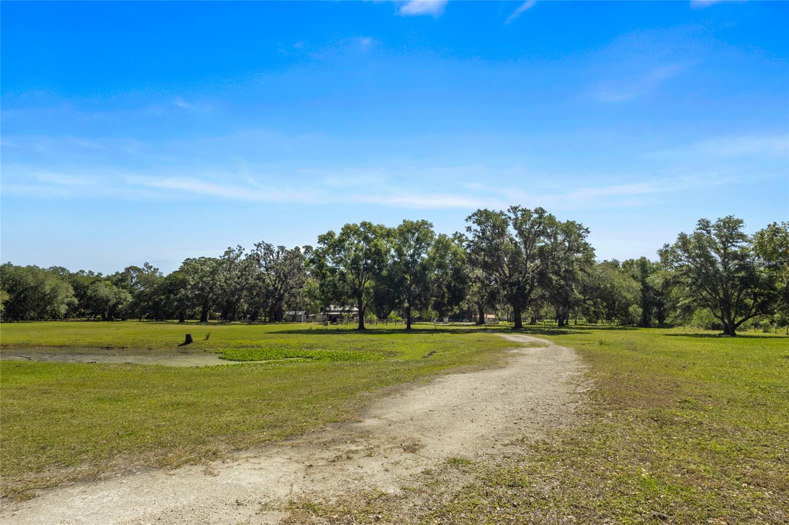11902 CR 727, WEBSTER, FL, 33597