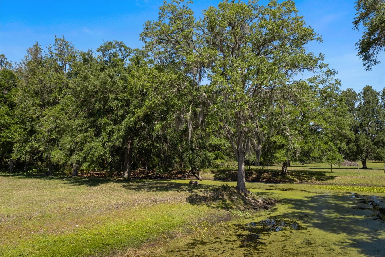 11902 CR 727, WEBSTER, FL, 33597