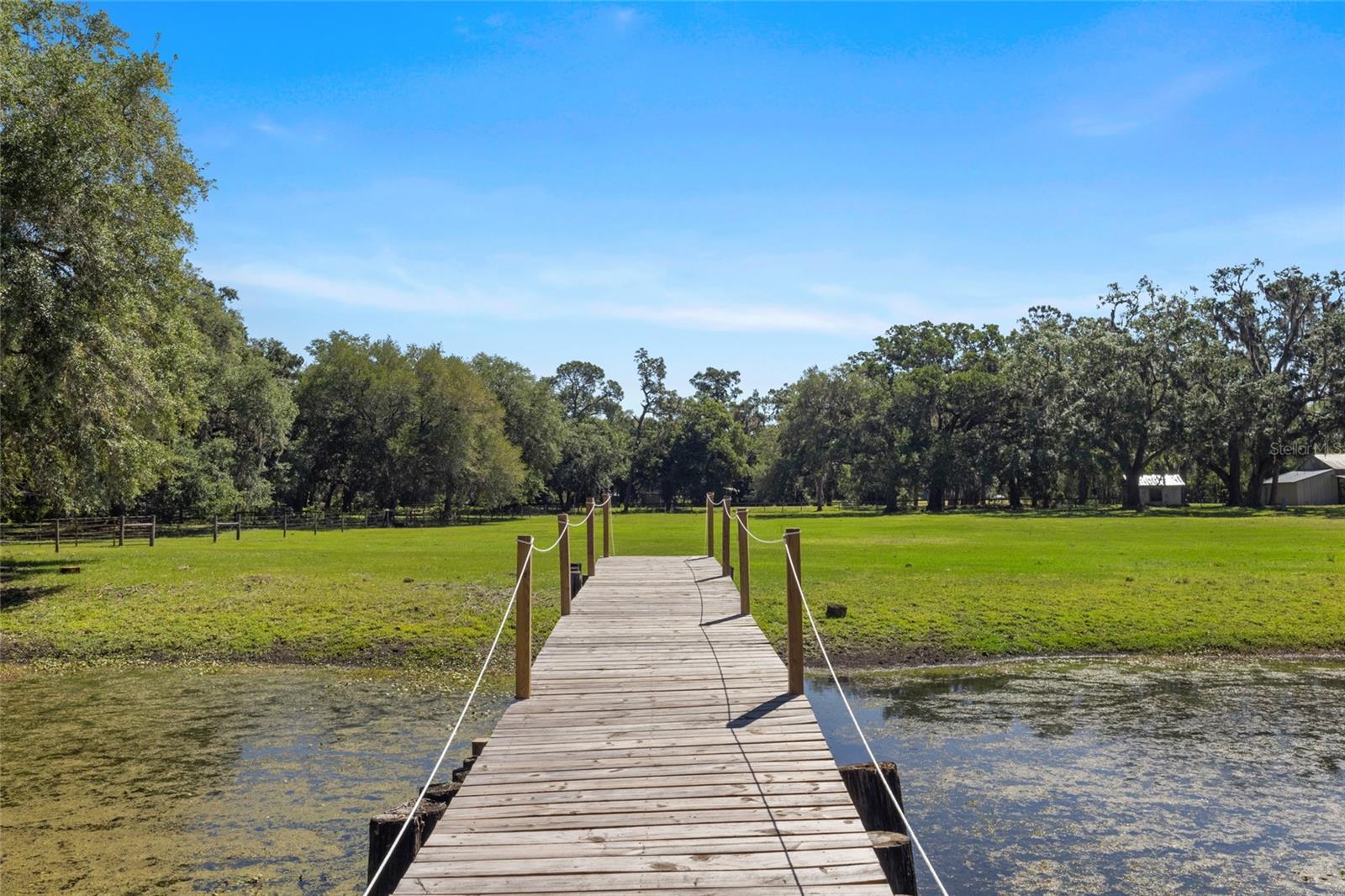 11902 CR 727, WEBSTER, FL, 33597