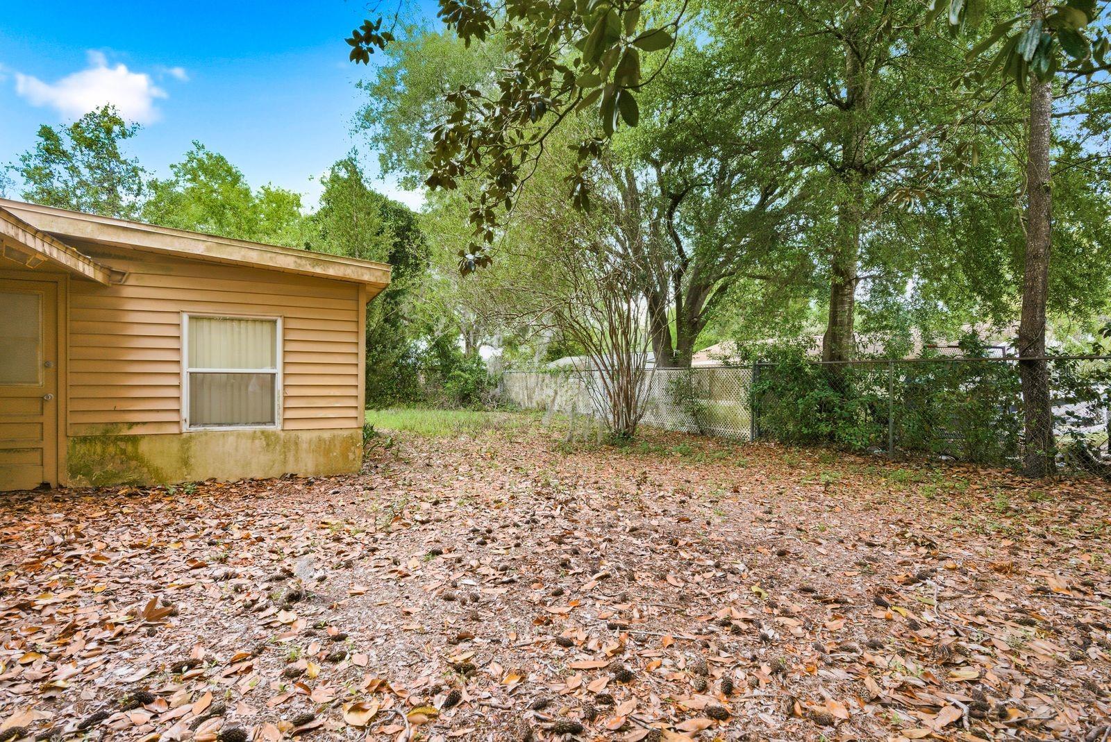 31035 WILLOW BANK AVE, BROOKSVILLE, FL, 34602