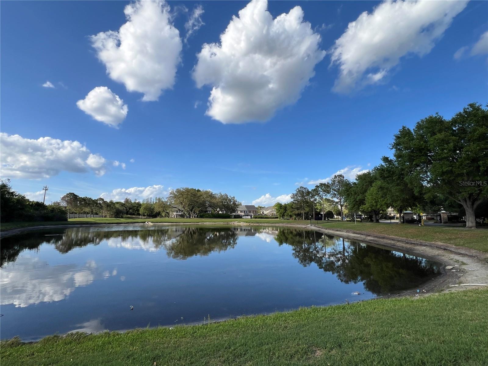 8210 DOWN ROYAL RD, TAMPA, FL, 33610