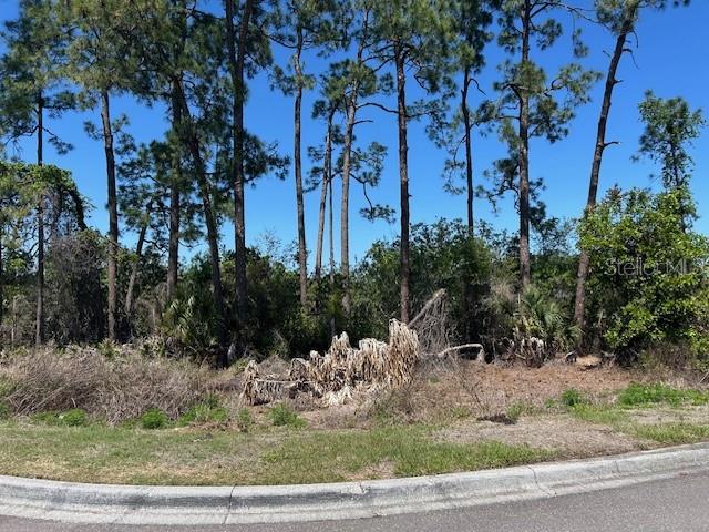 12405 CRUXBURY DR, WINDERMERE, FL, 34786