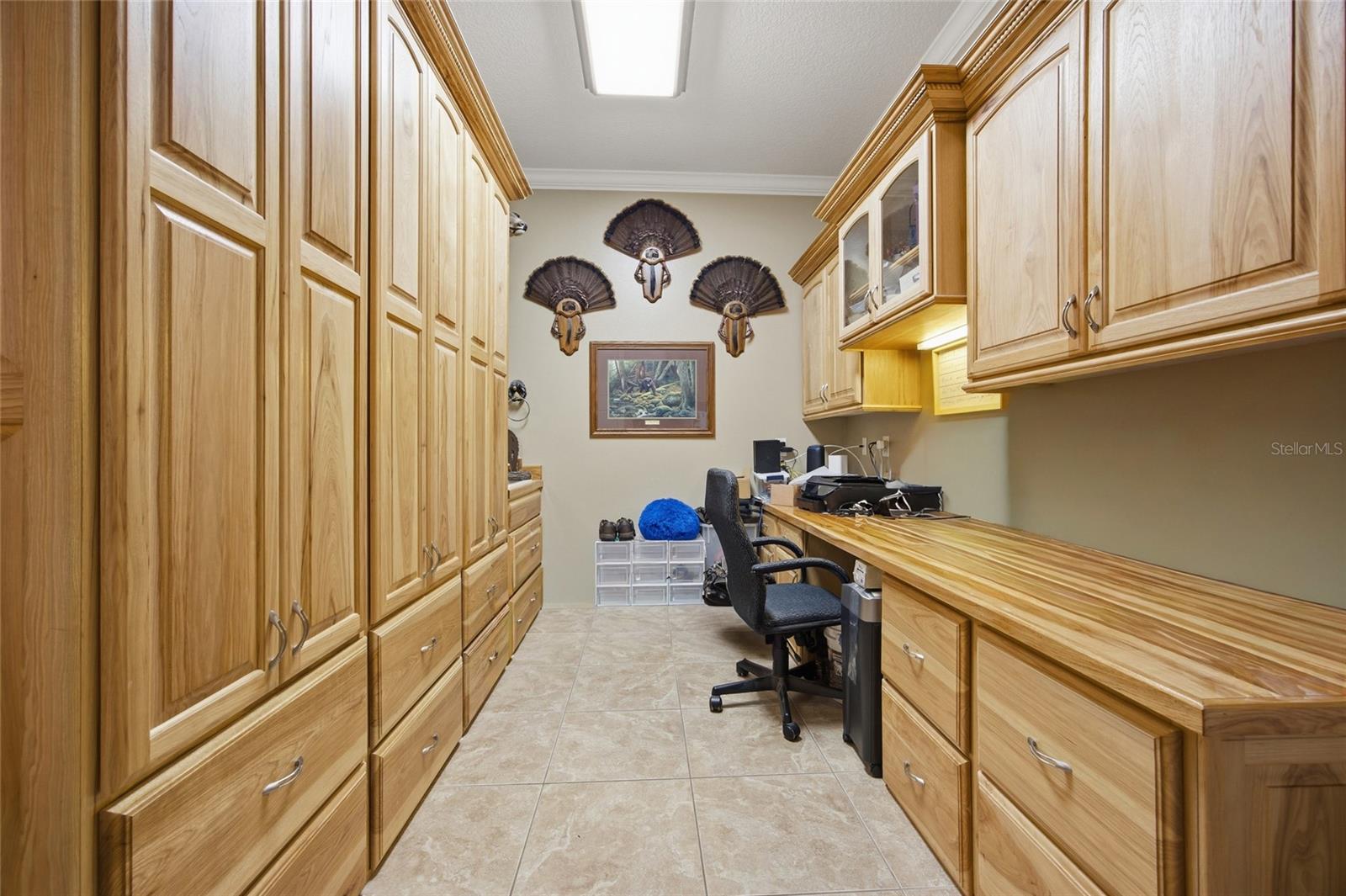 10645 PARKWAY DR, CLERMONT, FL, 34711
