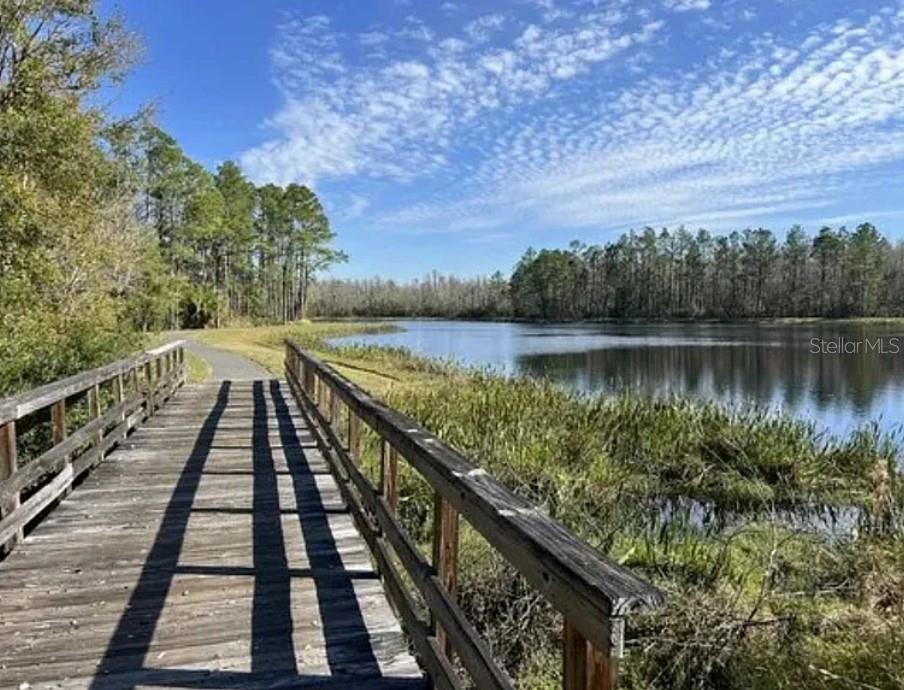 22034 STORYBOOK CABIN WAY, LAND O LAKES, FL, 34637