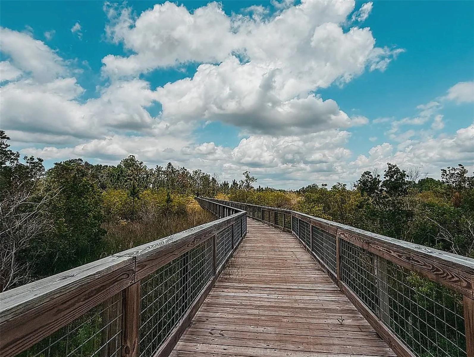 22034 STORYBOOK CABIN WAY, LAND O LAKES, FL, 34637
