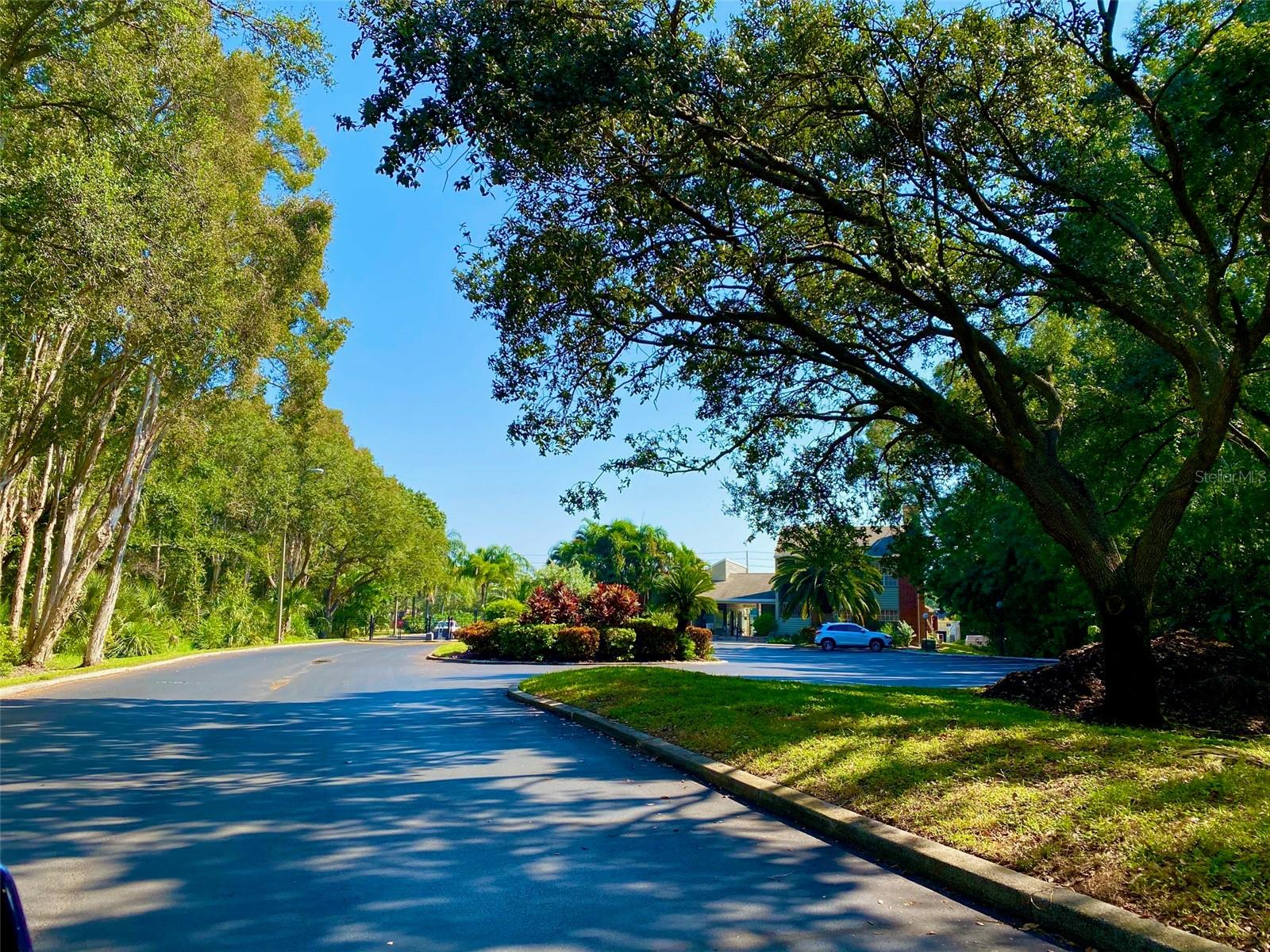 9100 DR MARTIN LUTHER KING JR ST N #1505, ST PETERSBURG, FL, 33702