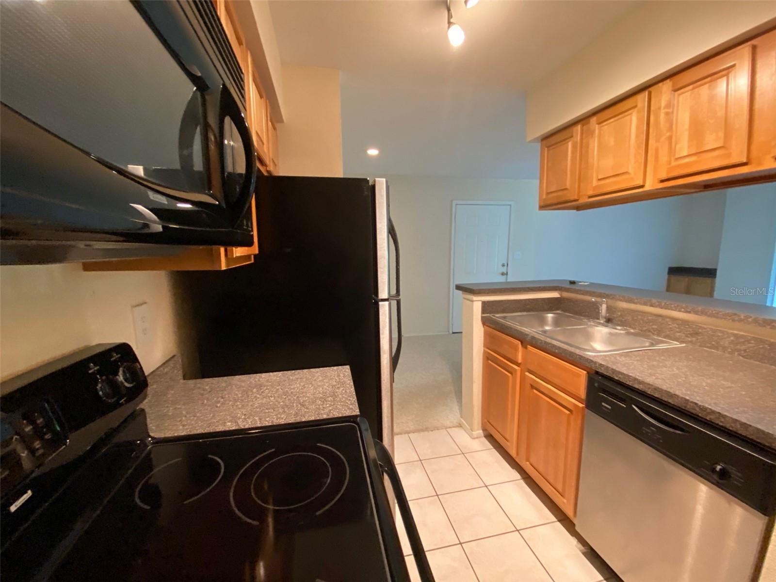 9100 DR MARTIN LUTHER KING JR ST N #1505, ST PETERSBURG, FL, 33702