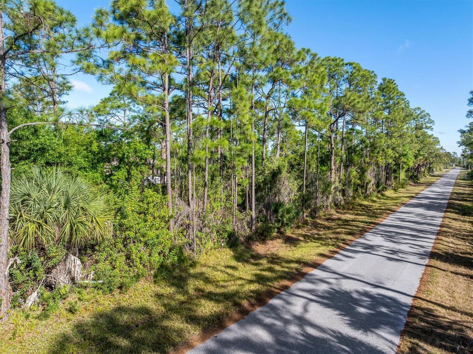 3181 CALLISTO ST, PORT CHARLOTTE, FL, 33981