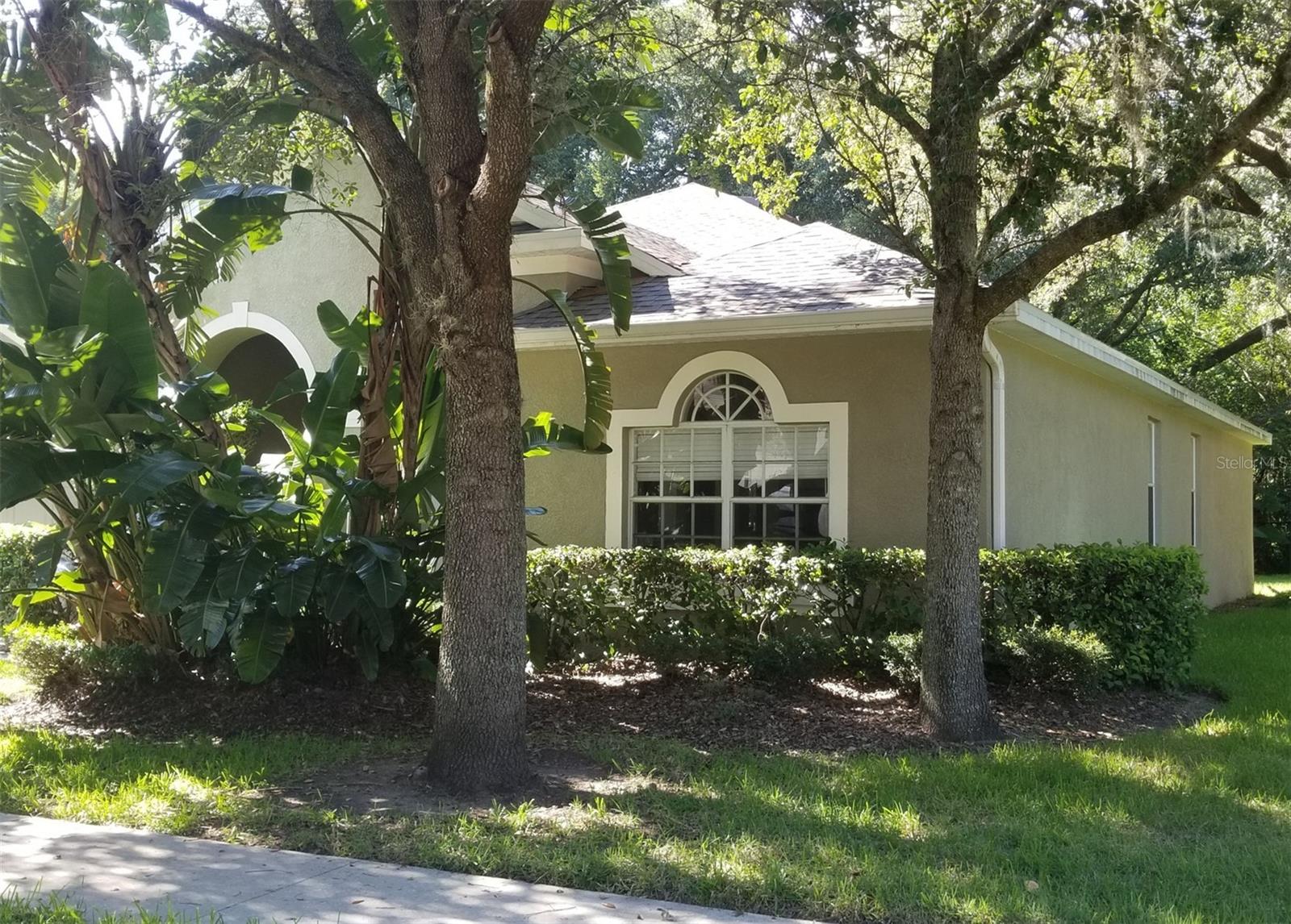 206 RONJA LN, VALRICO, FL, 33594