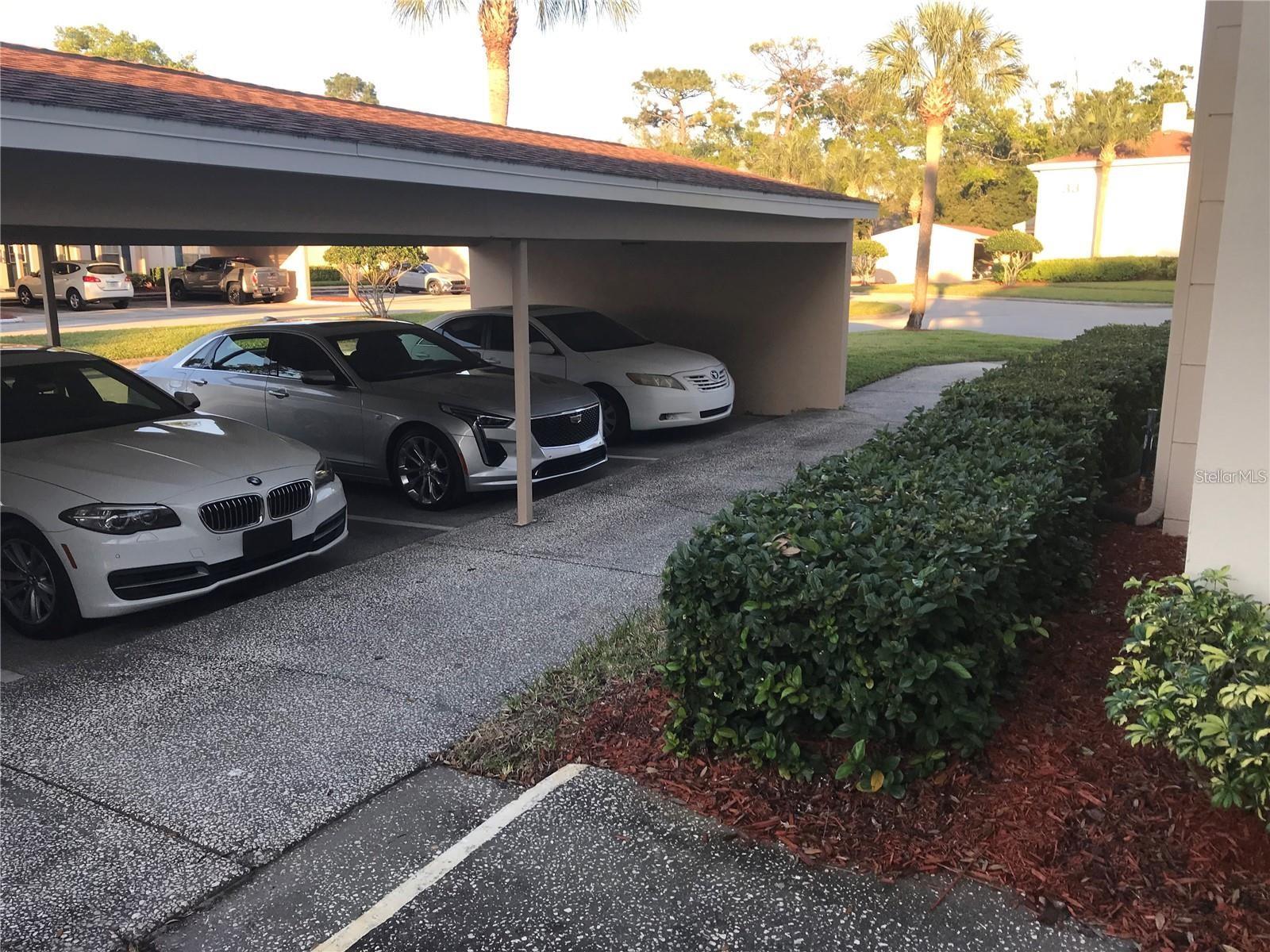 10380 CARROLLWOOD LN #264, TAMPA, FL, 33618