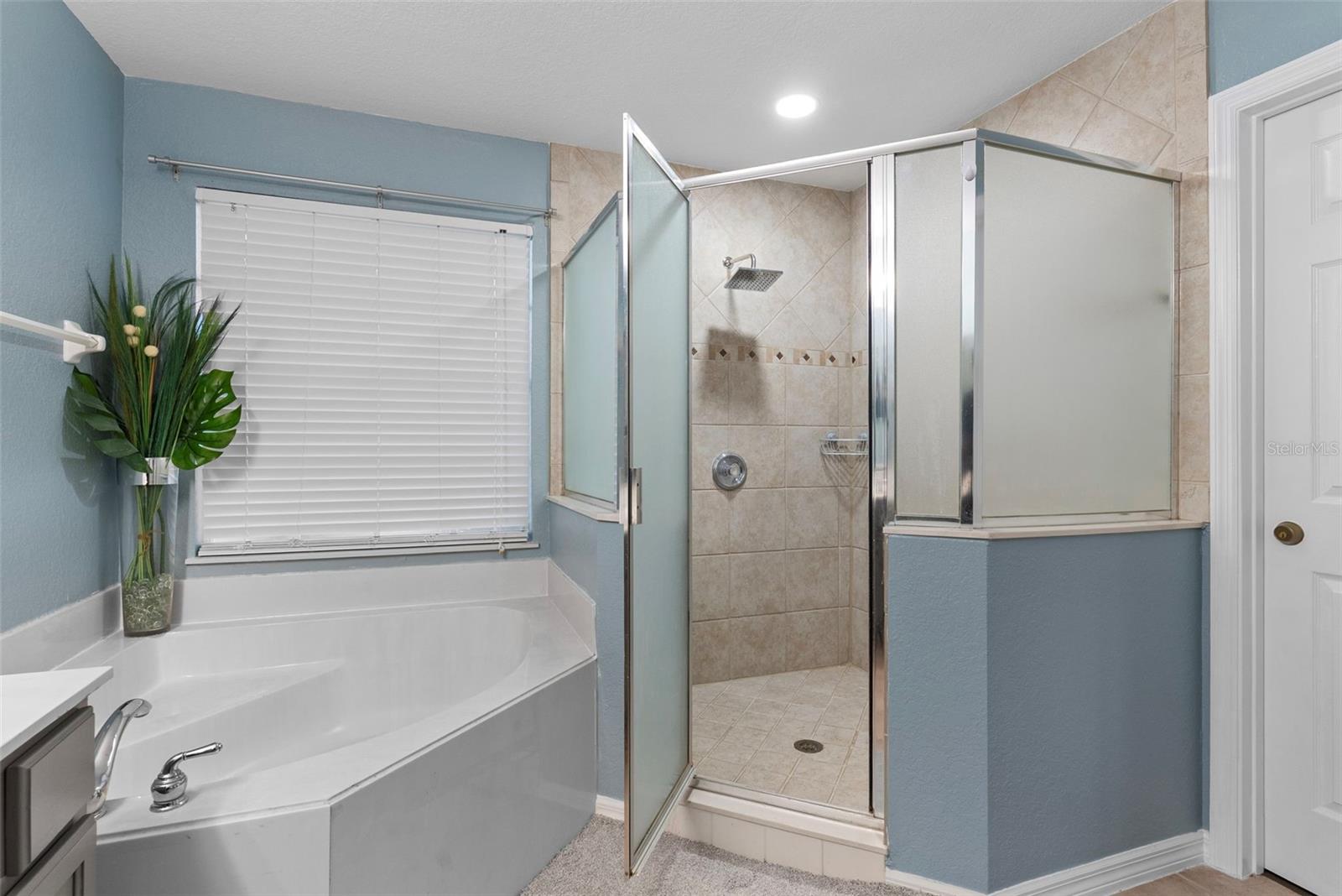 215 GLENEAGLES DR, DAVENPORT, FL, 33897