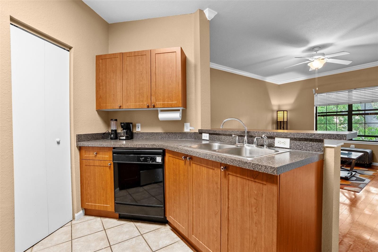 2141 PORTOFINO PL #2826, PALM HARBOR, FL, 34683