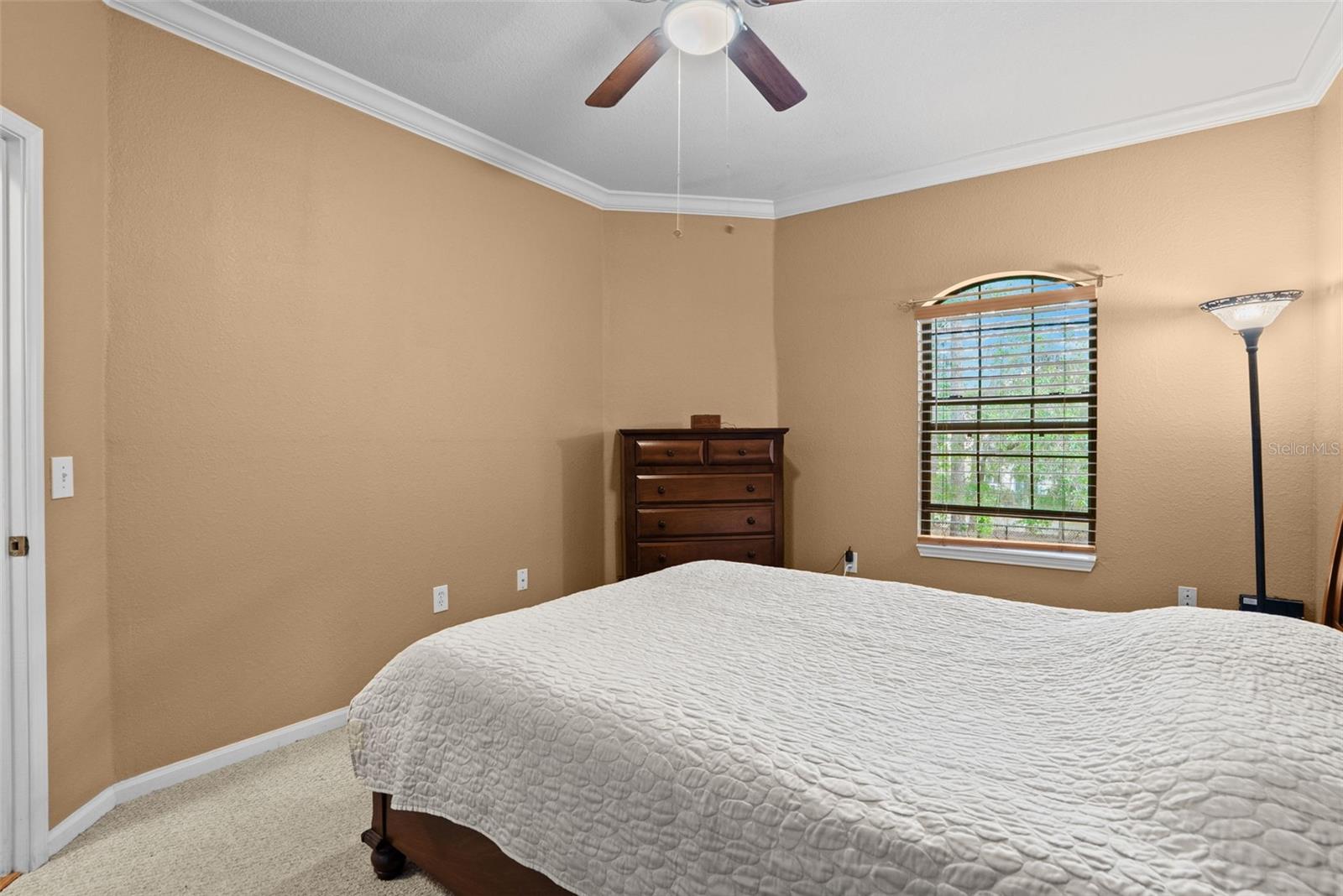 2141 PORTOFINO PL #2826, PALM HARBOR, FL, 34683