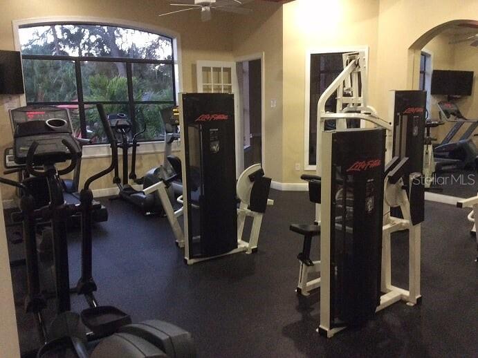 2141 PORTOFINO PL #2826, PALM HARBOR, FL, 34683