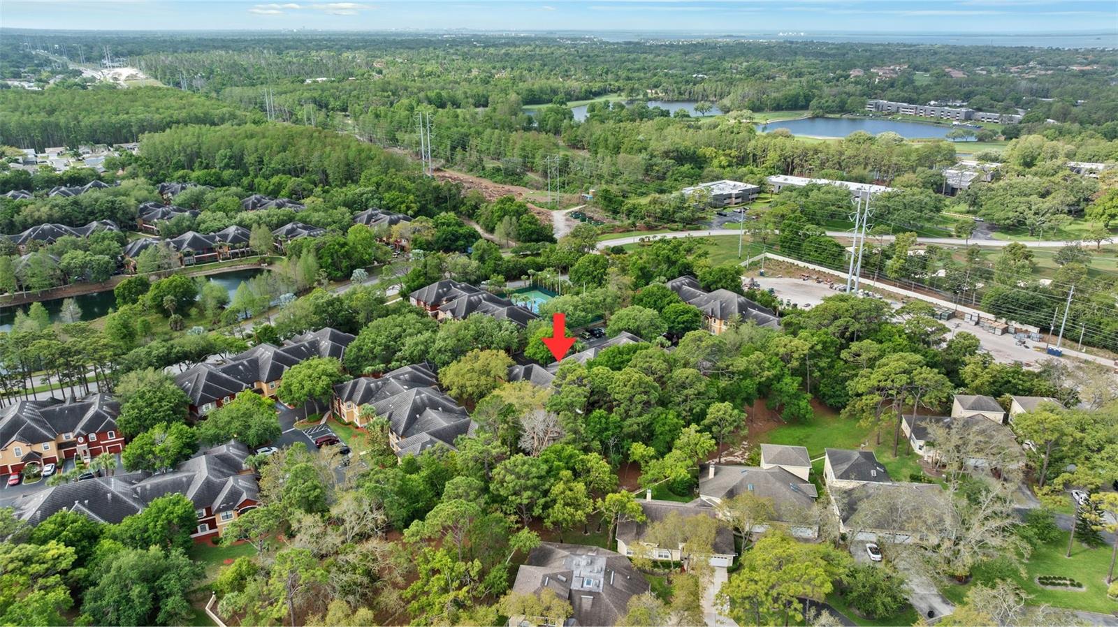 2141 PORTOFINO PL #2826, PALM HARBOR, FL, 34683