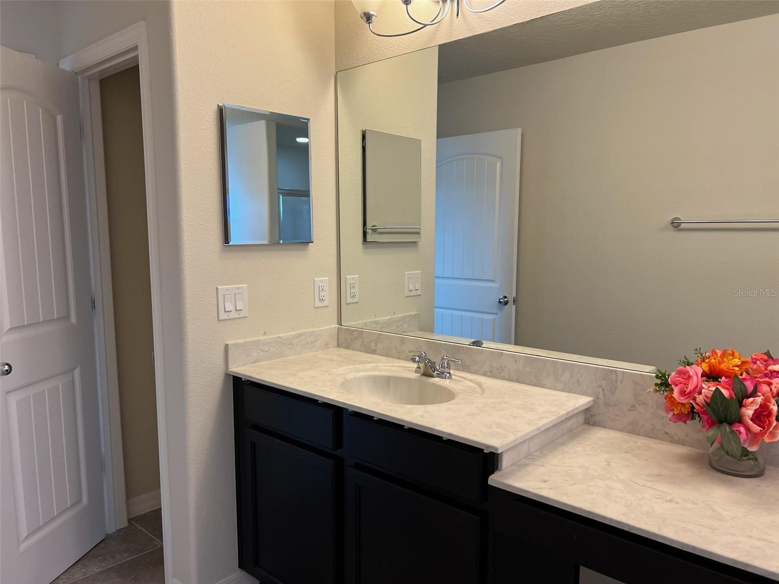 8685 BAYVIEW CROSSING DR, WINTER GARDEN, FL, 34787