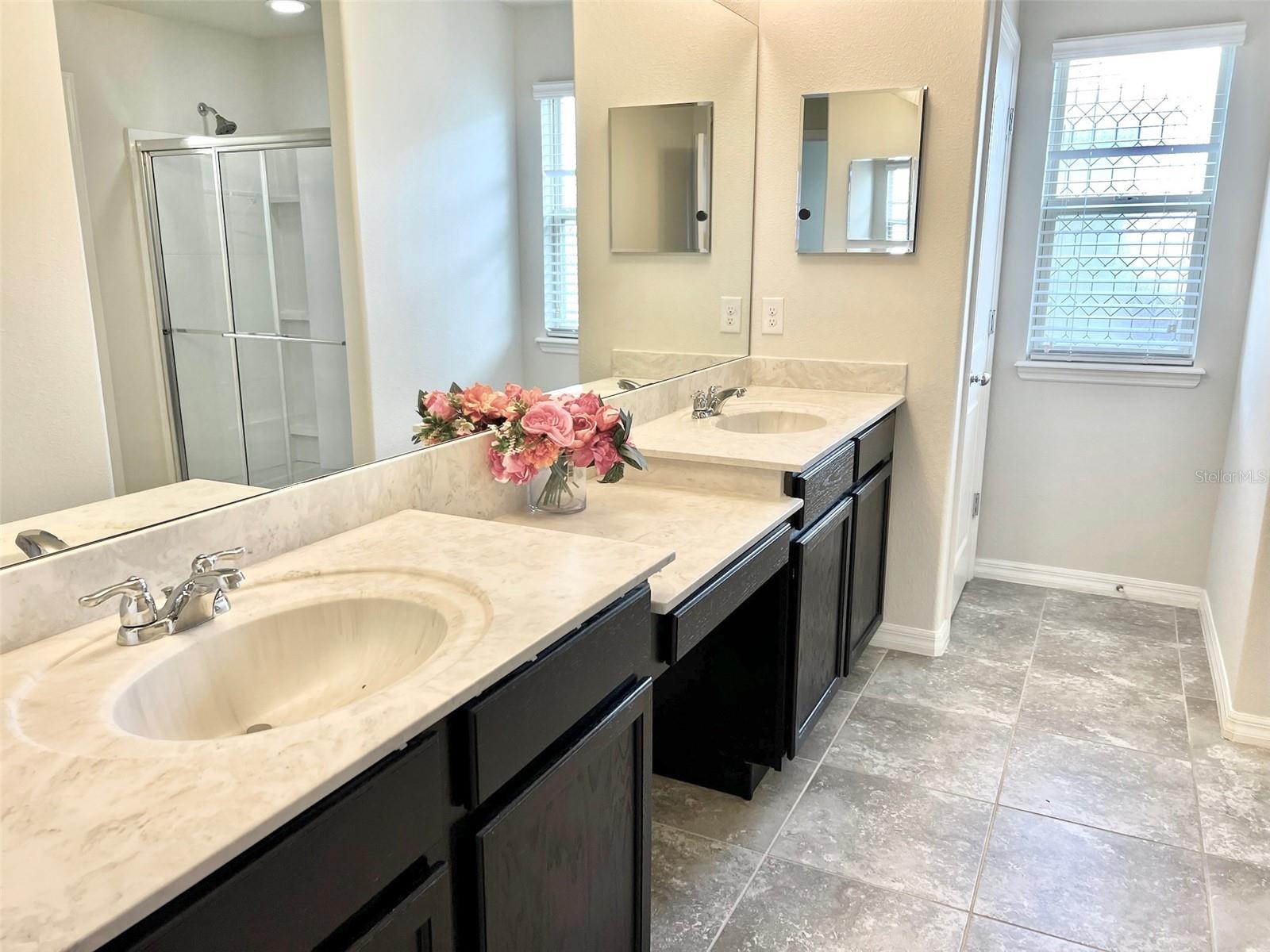 8685 BAYVIEW CROSSING DR, WINTER GARDEN, FL, 34787