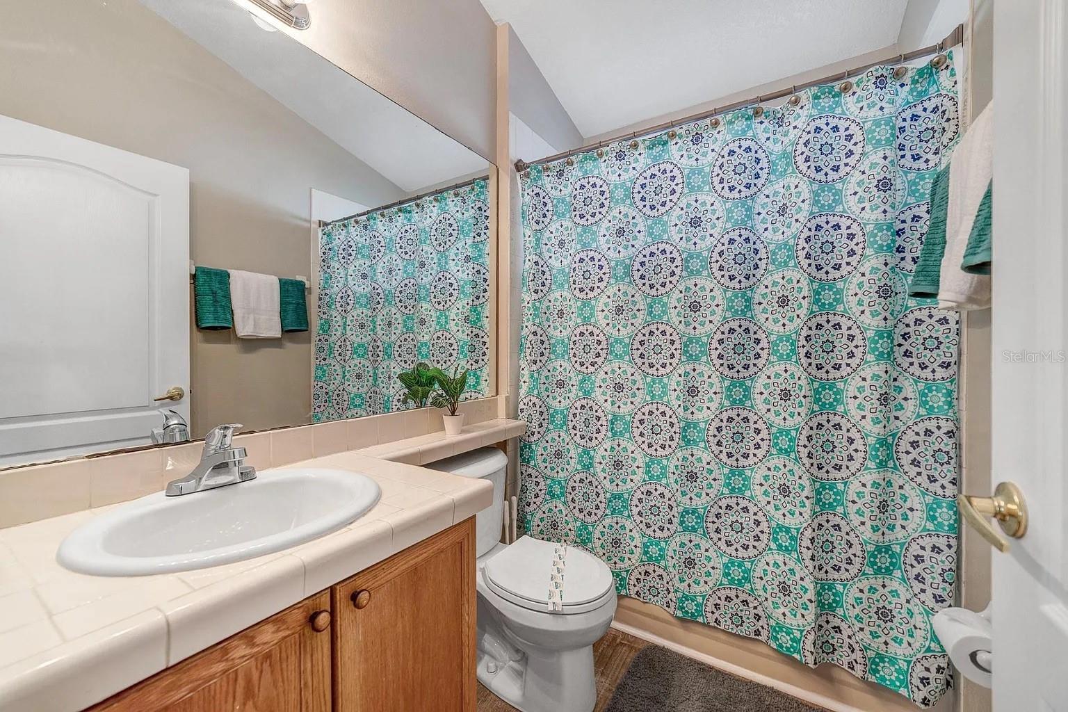 15543 BAY VISTA DR, CLERMONT, FL, 34714